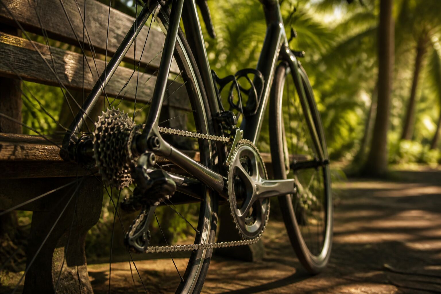 A road bicycle resting in dappled park shade